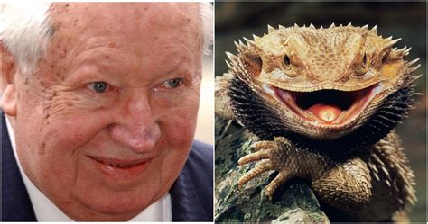 15 Celebrities And Politicians That Are Rumored To Be Reptiles