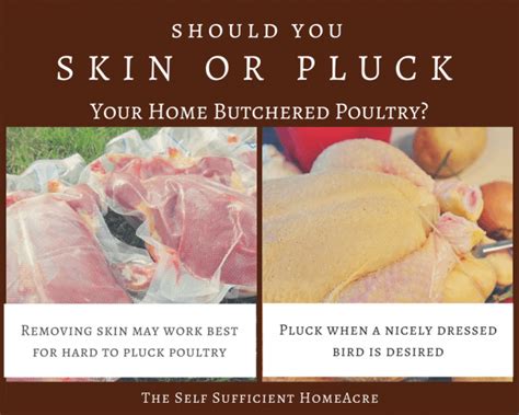 Should You Skin Or Pluck Your Home Butchered Poultry The Self