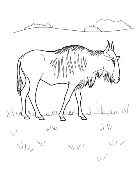 Coloring Page Wildebeest