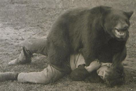 The Time When Men Fought Bears Ststw Media