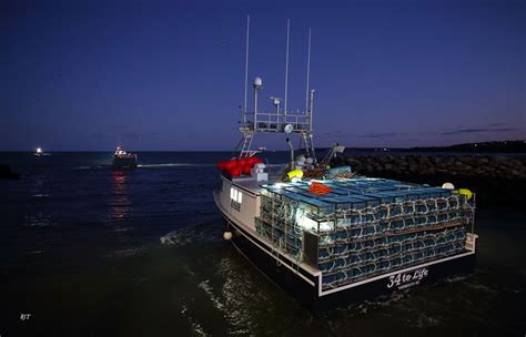 Dumping Day Marks The Start Of Canadas Largest Lobster Fishing