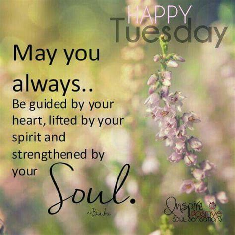 Feb 02, 2017 · 40 cute good morning quotes for her. Happy Tuesday | Tuesday quotes good morning, Good morning ...