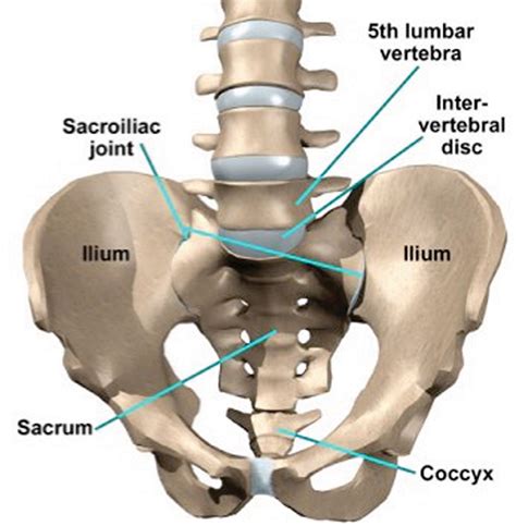 Bloem Physio Lower Back Pain