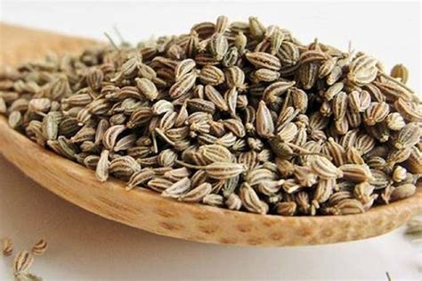 Ajwain Seeds At Best Price In Bastar Ayurvedam Healthy Foods Private
