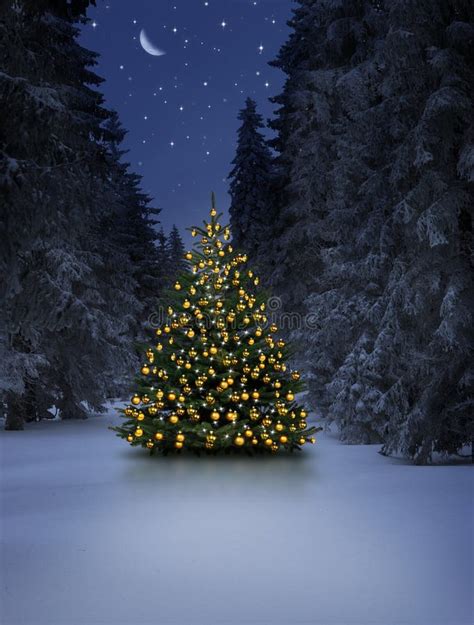 Leuchtender Weihnachtsbaum Im Schnee Bei Nacht An Heiligabend Stock