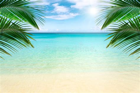 Sunny Tropical Beach Stock Photo Image Of Sunshine Tropical 95466544