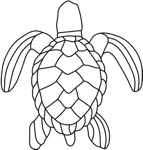 Sea Turtle Outline Coloring Home
