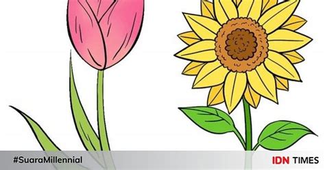 Download sketsa gambar pemandangan flora dan fauna berwarna. Contoh Gambar Flora Fauna - Contoh Soal