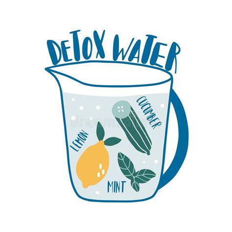 Detox Water With Ingredients Stock Vector Illustration Of Leaf