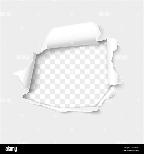 Torn Paper Realistic Vector Hole In The Sheet Of Paper Isolated On