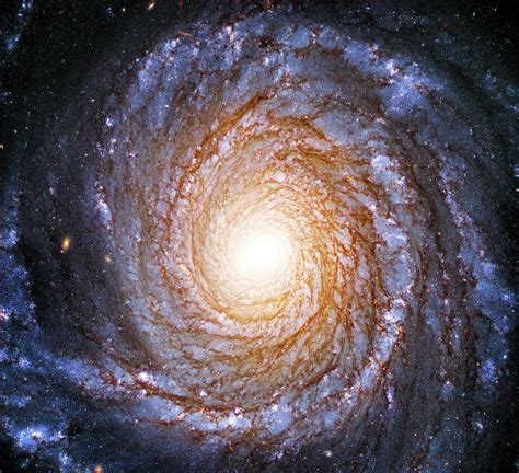 Spiral Galaxy Ngc 3147 Photograph By Nasa