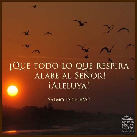 Versículos De La Biblia Acerca De La Alabanza Y Adoración Sociedad Bíblica Chilena