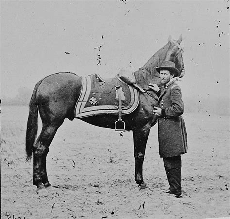 Civil War Horses Jggs Civil War Talk Debate Learn And Discuss