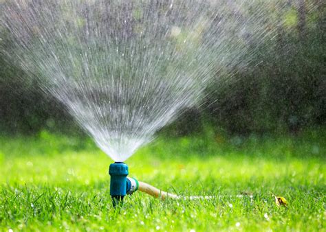 The Importance Of Properly Watering Your Lawn Birchs Lawn Care