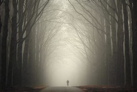Other Lonely Autumn Road Loneliness Forest Haze Sad Foggy Road