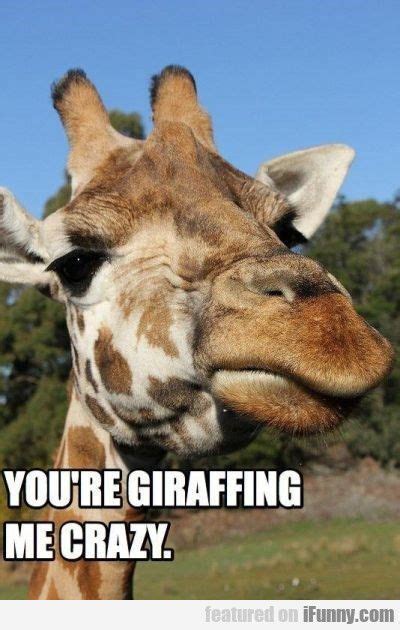 That Awkward Moment When A Giraffe Has More Facial Expression Than I Do