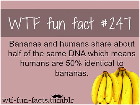 40 Interesting And Unusual Experiments Fact Republic Facts Fun Facts