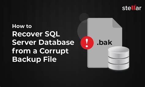How To Repair Corrupt Sql Database Vrogue Co