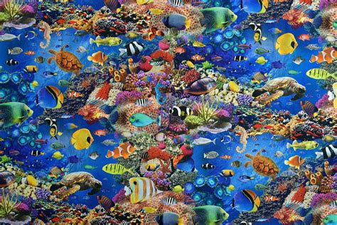 Tropical Fish Coral Reef Digital Print Fabric Quality