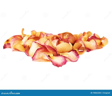 Pile Of Pink Rose Petals As A Romantic Composition Over White