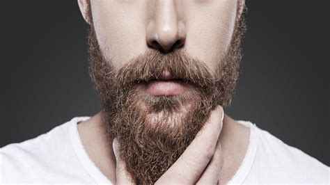 5 Curiosidades Para Celebrar El Día Internacional De La Barba