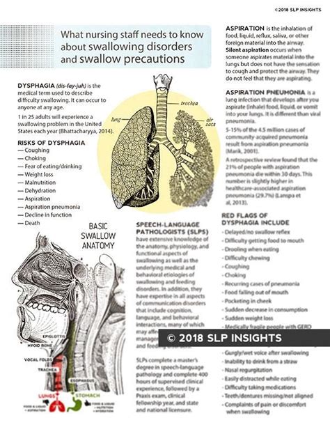 Handout What Nursing Staff Needs To Know About Swallowing Disorders