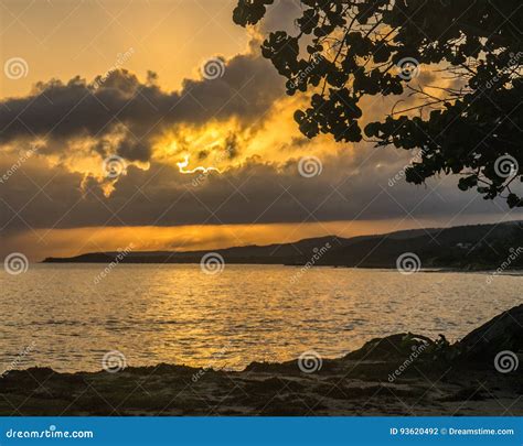 Remote Jamaican Beach Wth Abandoned Fishing Boat And Shirt On Tree Stock Photo Cartoondealer