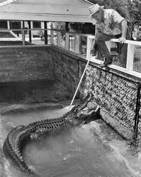 A land loan is used to finance the purchase of a plot of land. Florida Memory - Texas Jim Mitchell with an alligator at ...
