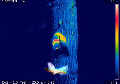 What are the basic infrared camera functions? Thermal Imaging surveys for bats: practical applications ...