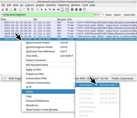 Wireshark Tutorial Display Filter Expressions