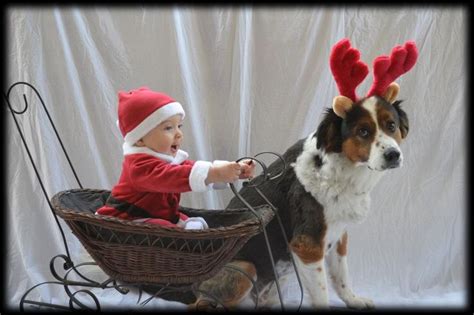 Idea For A Baby Christmas Portrait Baby And Doggy