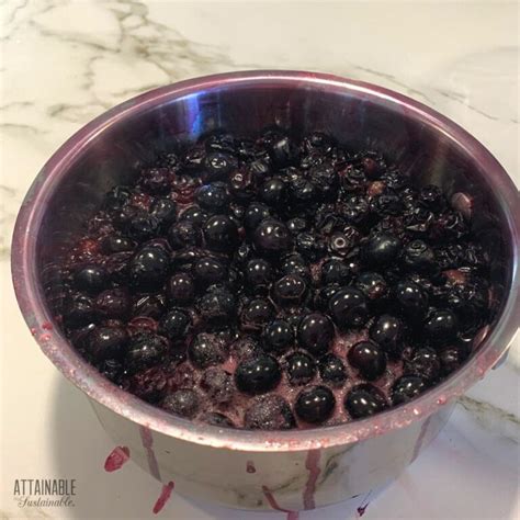 How To Make Fresh Blueberry Juice Attainable Sustainable