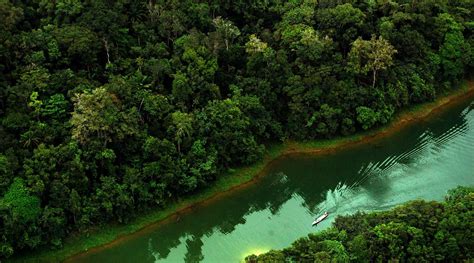 A Importância Da Preservação Da Floresta Amazônica
