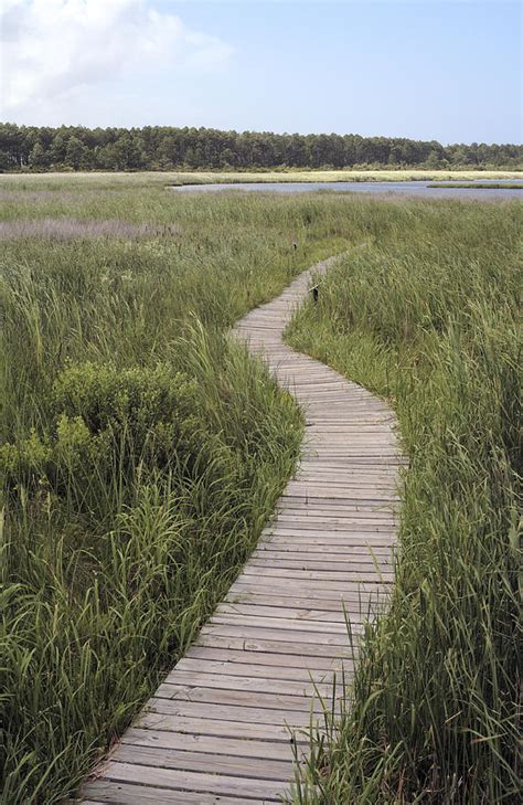 Bodie Island Boardwalk In The Outer Banks Of North Carolina Photograph