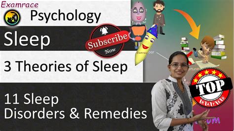3 Theories Of Sleep 11 Sleep Disorders And Remedies Psychology Examrace Youtube