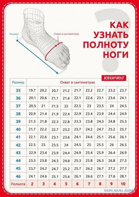 A Poster Showing The Height And Measurements Of Shoes For Men In