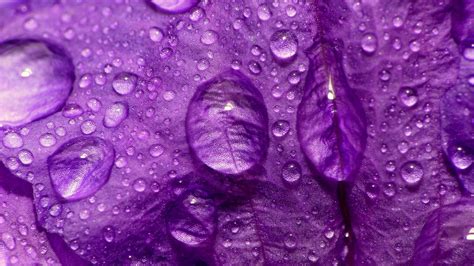 Purple Wallpaper HD (76+ pictures)
