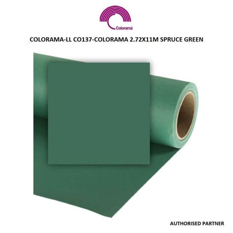 Colorama Background Paper 272 X 11m Spruce Green Future Forward