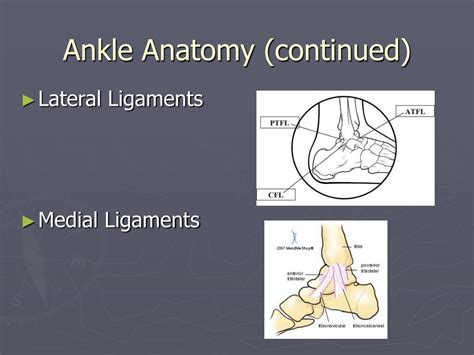 Ppt Ankle Rehabilitation Powerpoint Presentation Free Download Id