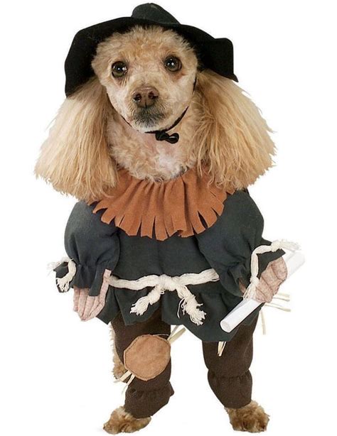 Wizard Of Oz Scarecrow Dog Costume Pet Halloween Costumes Dog