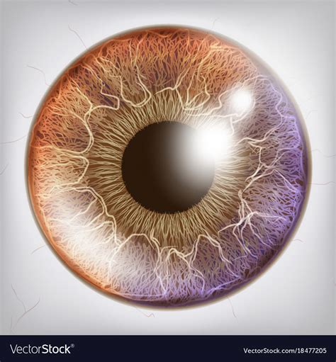 Image Eyes Iris For CSS