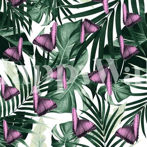 Buy Tropical Butterfly Jungle 2 Wallpaper Free Shipping