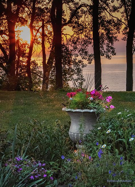Sunset In The Garden Photograph By Rebecca Samler Fine Art America