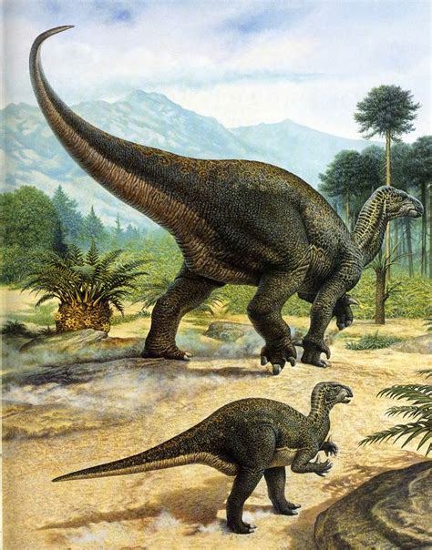 Imagen Iguanodontes Wiki Prehistórico Fandom Powered By Wikia