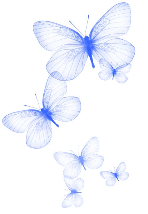 Butterfly Bluebutterfly Blue Pretty Sticker By Picsart