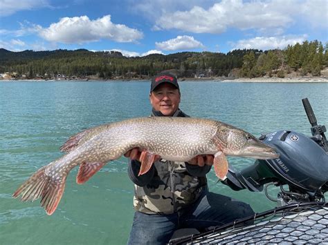 Largemouth & smallmouth bass from flathead lake. Flathead Lake Fishing in Montana - Western Timberline ...
