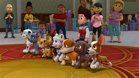New Paw Patrol Jet To The Rescue Trailer And Poster Released Capsule