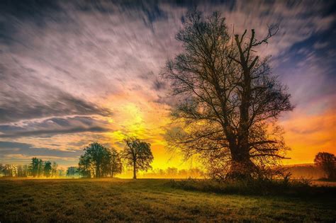 Spring Trees And Sunset Wallpaper Hd Nature 4k Wallpapers Images And