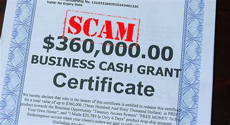 Government Grant Scams The Burning Platform