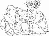 Goat Coloring Mountain Getdrawings Getcolorings Printable sketch template